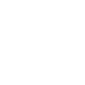 PIV Records